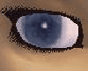 Lotus Eyes