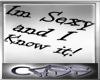 [CC] Sexy and I know it