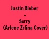 Sorry(ArleneZelinaCover)