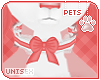 [Pets] Valerie | collar