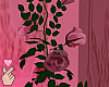 â¥ baroque roses