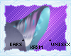 ꨄStacy Earsꨄ