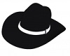 Blk/Wht Cowboy Hat