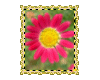 Animated Flower 1 Stamp