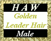 Golden Leader Hair - M