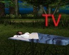 TV> Blue Sleeping Bag