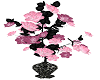 Pink black roses