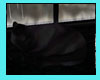 Chat OPE