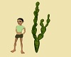 Cactus V6