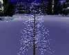 Winter Mountain Tree Ani