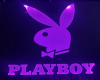 play boy dance