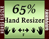 GI*HANDS SCALER 65%