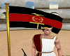 Roman Army Flag