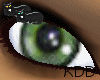 *KDD Forest eyes