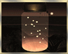 Moonlight  FireFlies Jar