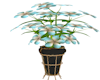 deco flowers