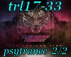 trl17-33  p2/2