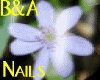 [BA] White Flower Nails