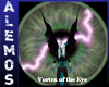 Vortex of the eye