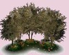 DW SPRING GARDEN ADD-ON