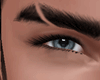 Cool Gray Eye !!
