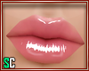 Lip Gloss Any head