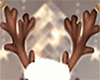 ❆ Christ. PJ Antler