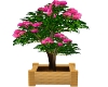 Pink Flower Planter