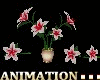 Animated Flower Deco