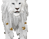 White Pet Lion F