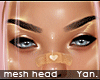 Y: alice mesh head | NL