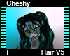 Cheshy Hair F V5