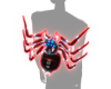 Red SPider Pet