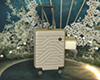Luggage White