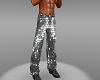 Animated Silver Pants2 M