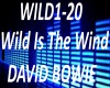 B.F Wild Is The Wind