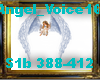 Angel_Voice16