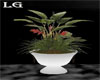 (LG)Potted Plant