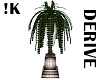 !K!Derivable Potted Fern