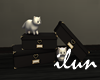 Cats and Boxes