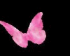 [kk]Pink Butterflies