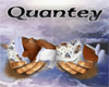 Quantey