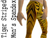 Tiger Striped Spandex