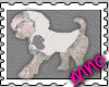 gray&pink cute teddy dog