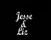 Jesse & Liz Necklace/M