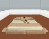 ani. beige couples bed