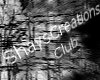 Shay Dark Club