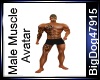 [BD] Male Muscle Avatar