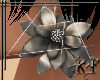 Elegant Flower Earrings