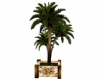 Ivory Elegance Palm Tree